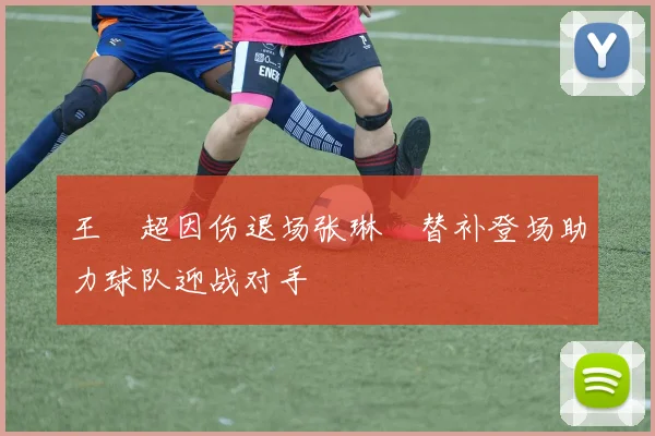 王燊超因伤退场张琳芃替补登场助力球队迎战对手